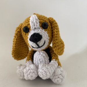 Beagle